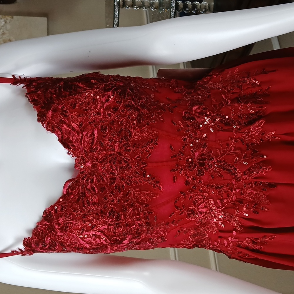 New Red A-line Formal Embellished Floral Embroidered Floor-Length Gown. Medium - Picture 13 of 17